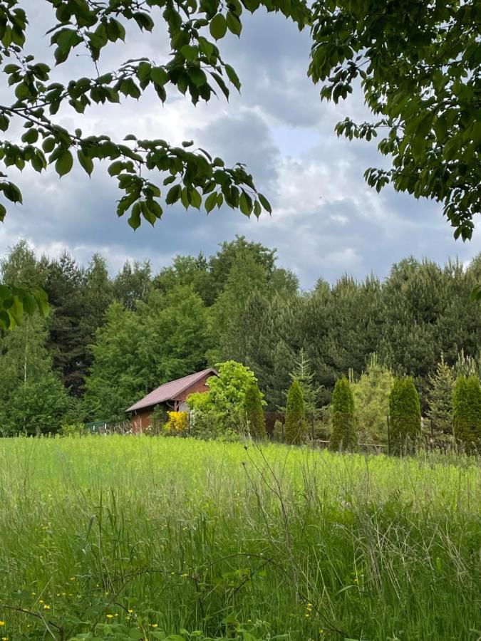 Wittowka - Domek Na Wylacznosc Z Dala Od Sasiadow Tomaszów Lubelski 外观 照片